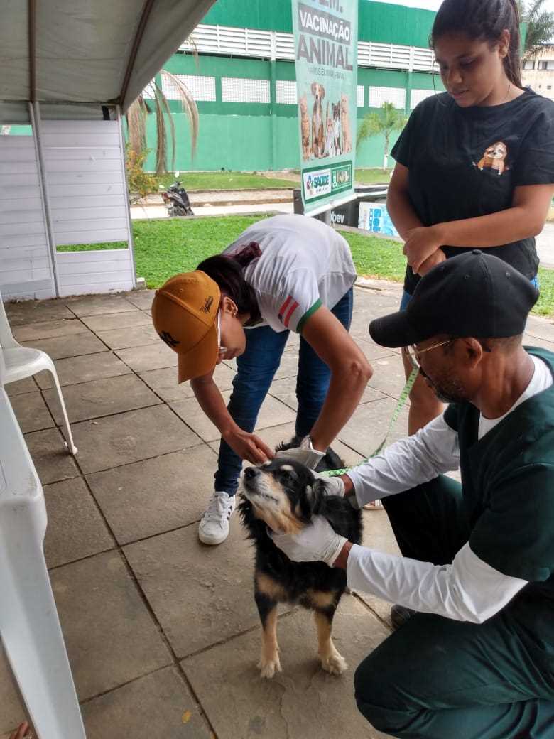 Camacã: Prefeitura realizou vacinação contra a raiva em cães e gatos